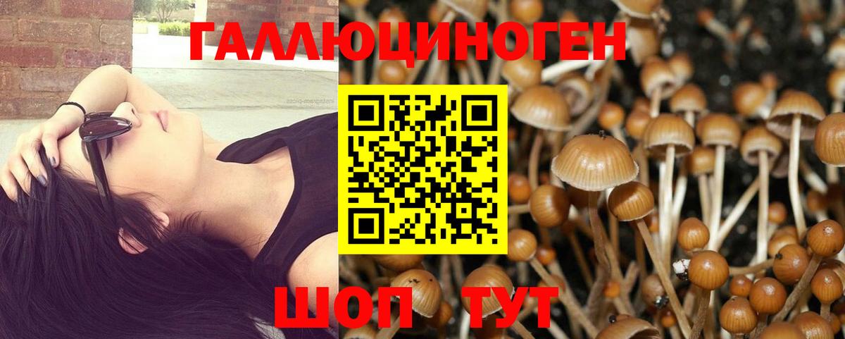 Галлюциногенные грибы ЛСД  Псилоцибиновые грибы Magic Shrooms  Вход с VPN  Губкинский 