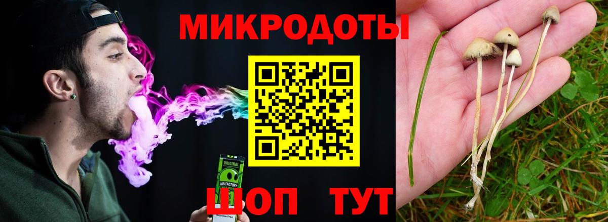 Галлюциногенные грибы прущие грибы Губкинский